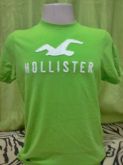 Camisa Hollister