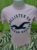 Camisa Hollister