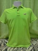 Polo Hollister