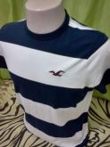 Camisa Hollister