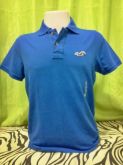 Polo Hollister