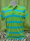 Polo Hollister